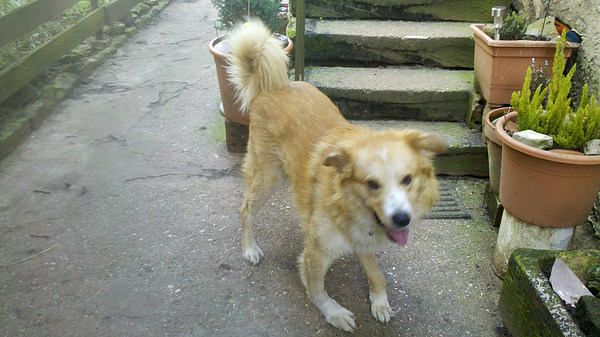 med_Barry - noch ohne Rolli.jpg (600 x 337)